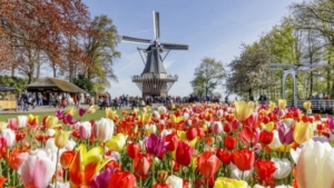 Keukenhof in Lisse