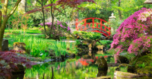 Japanse tuin Den Haag